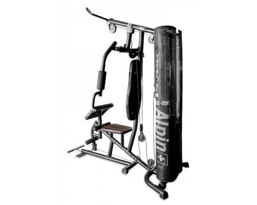 Купить Силовой тренажер Alpin Total-Gym GX-200 в Интернет магазин спортивной одежды и тренажеров  SayMarket фото 4