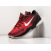 Купить Кроссовки Nike Kobe 6 в Интернет магазин спортивной одежды и тренажеров  SayMarket