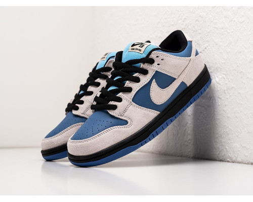 Купить Кроссовки Nike SB Dunk Low в Интернет магазин спортивной одежды и тренажеров  SayMarket