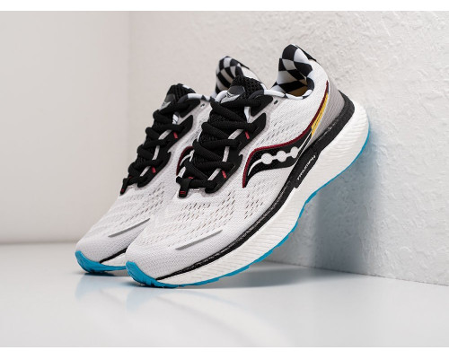 Купить Кроссовки Saucony Triumph 19 в Интернет магазин спортивной одежды и тренажеров  SayMarket