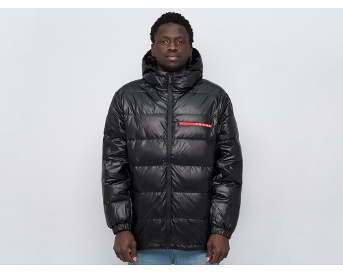 Купить Куртка зимняя Prada в Интернет магазин спортивной одежды и тренажеров  SayMarket