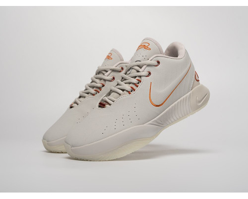 Купить Кроссовки Nike Lebron XXI в Интернет магазин спортивной одежды и тренажеров  SayMarket