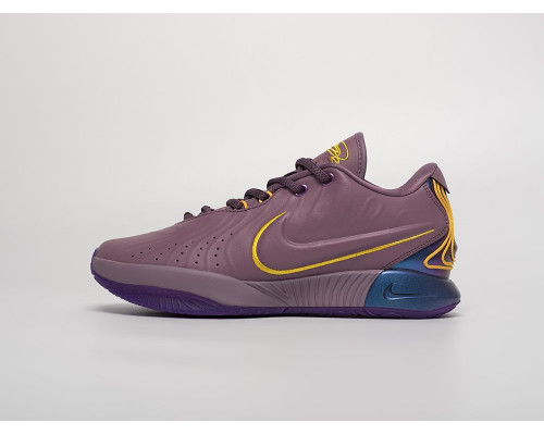 Купить Кроссовки Nike Lebron XXI в Интернет магазин спортивной одежды и тренажеров  SayMarket фото 1