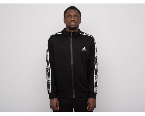 Купить Толстовка Adidas в Интернет магазин спортивной одежды и тренажеров  SayMarket