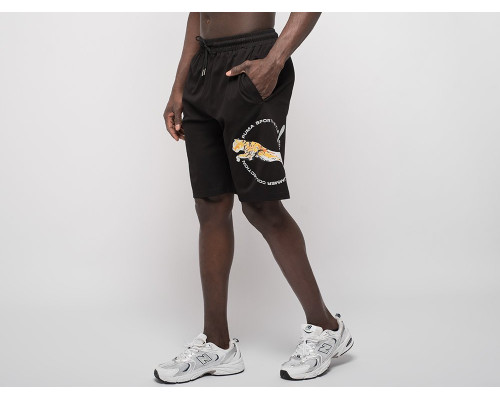 Купить Шорты Puma в Интернет магазин спортивной одежды и тренажеров  SayMarket