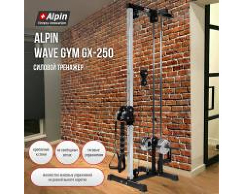 Купить Силовой тренажер Alpin Wave Gym GX-250 в Интернет магазин спортивной одежды и тренажеров  SayMarket фото 7