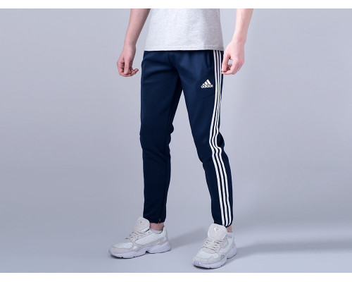 Купить Брюки спортивные Adidas в Интернет магазин спортивной одежды и тренажеров  SayMarket
