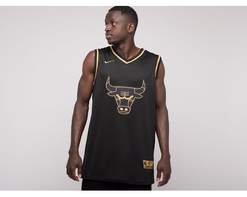 Купить Джерси Nike Chicago Bulls в Интернет магазин спортивной одежды и тренажеров  SayMarket