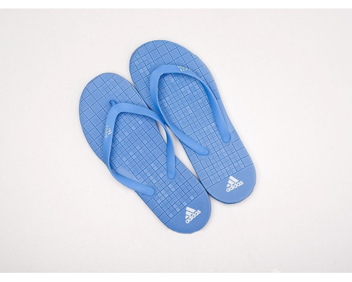 Купить Сланцы Adidas в Интернет магазин спортивной одежды и тренажеров  SayMarket