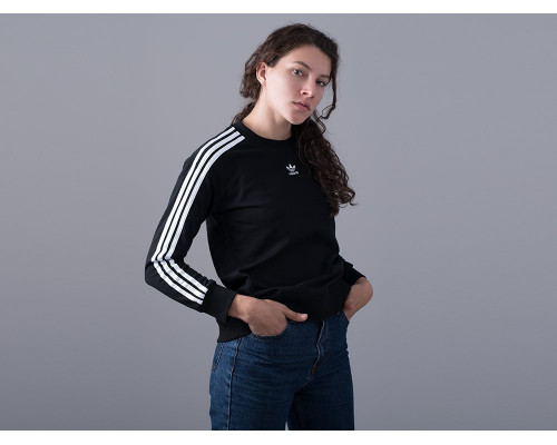 Купить Свитшот Adidas в Интернет магазин спортивной одежды и тренажеров  SayMarket фото 1