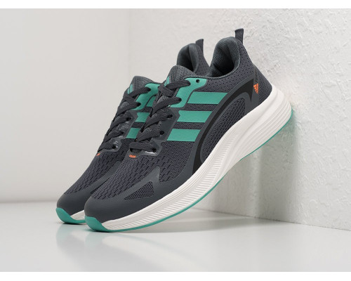 Купить Кроссовки Adidas Terrex Run в Интернет магазин спортивной одежды и тренажеров  SayMarket