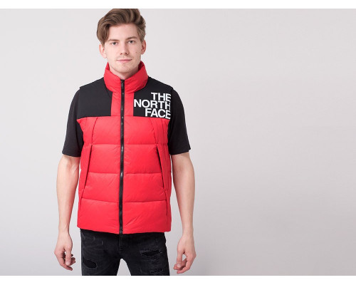Купить Жилет The North Face в Интернет магазин спортивной одежды и тренажеров  SayMarket