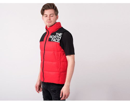 Купить Жилет The North Face в Интернет магазин спортивной одежды и тренажеров  SayMarket фото 1