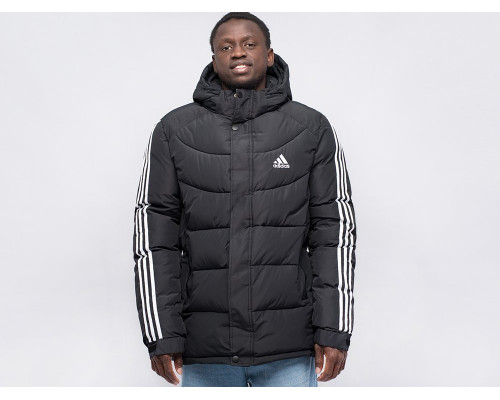 Купить Куртка зимняя Adidas в Интернет магазин спортивной одежды и тренажеров  SayMarket